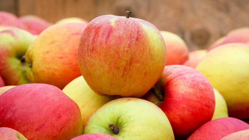 Apple-Stack
