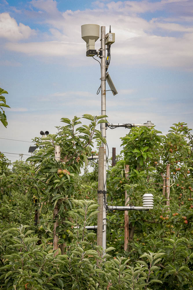 Weather-Vane