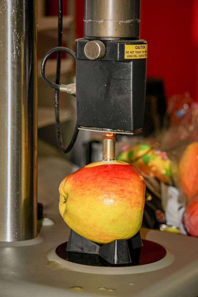 Apple-Testing