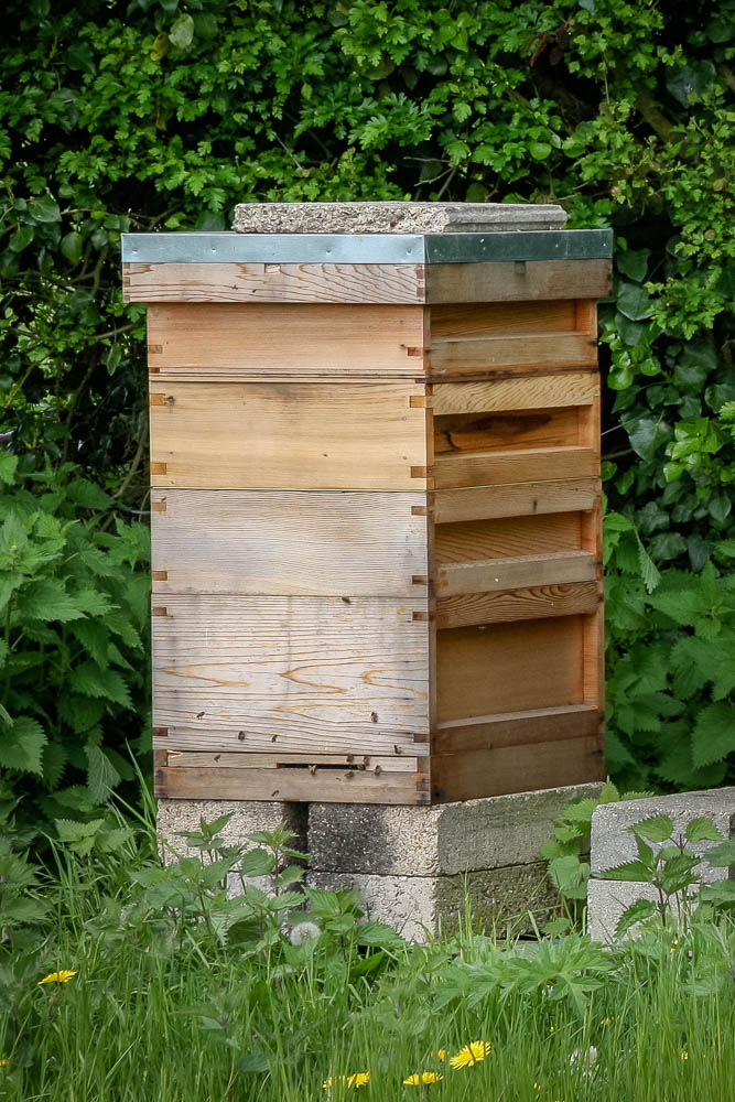 Bee-Hive