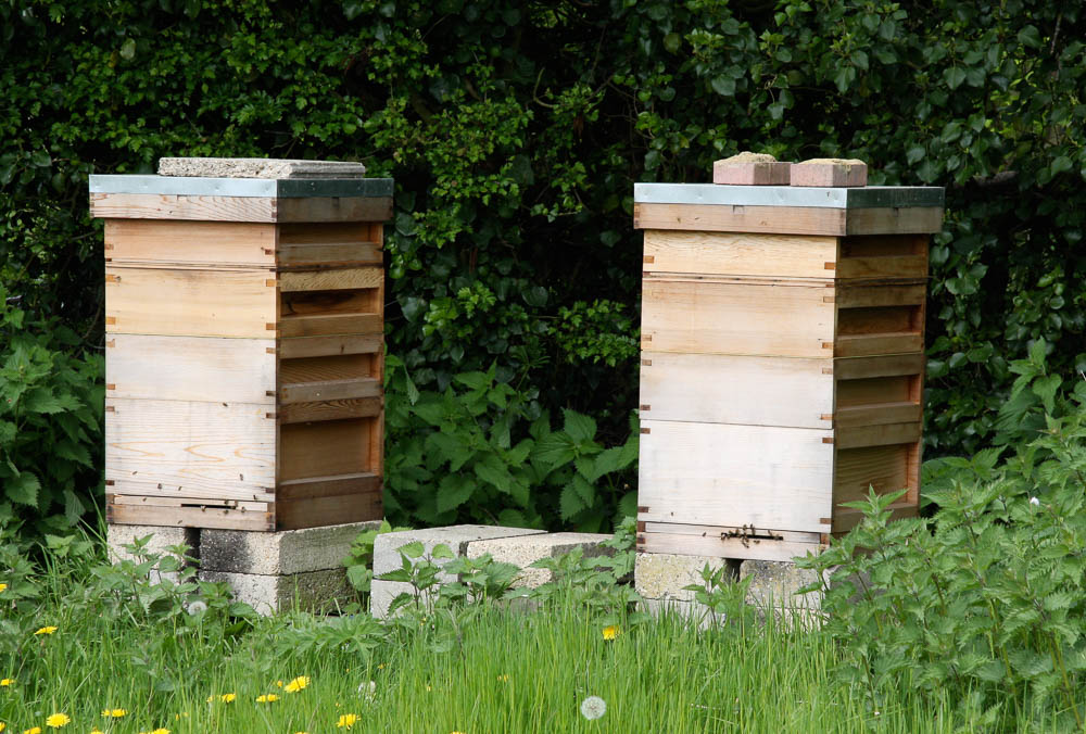 Bee-Hives