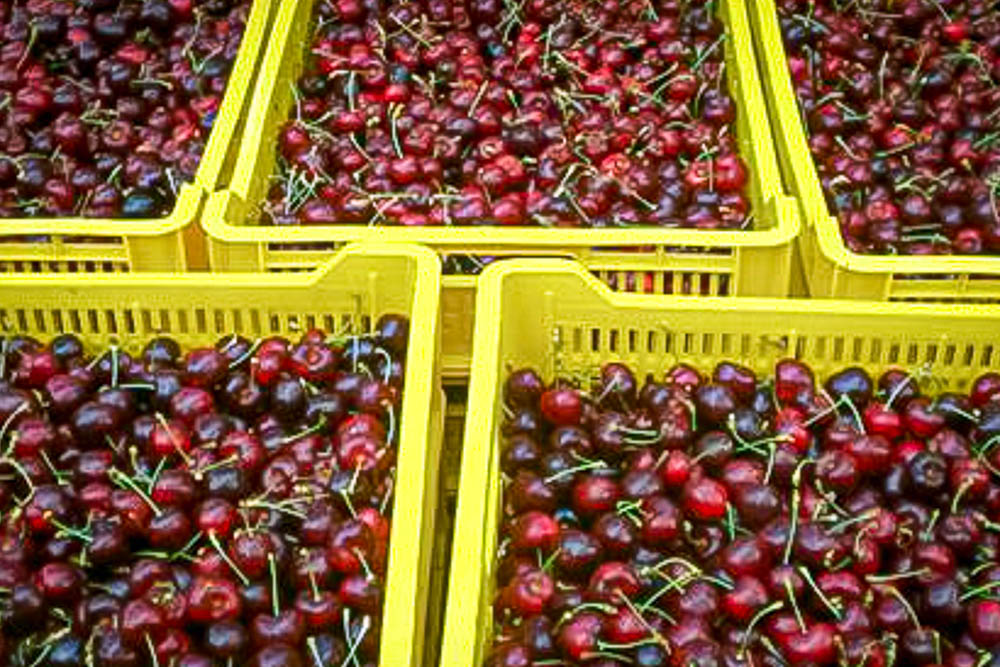Apple-Crate