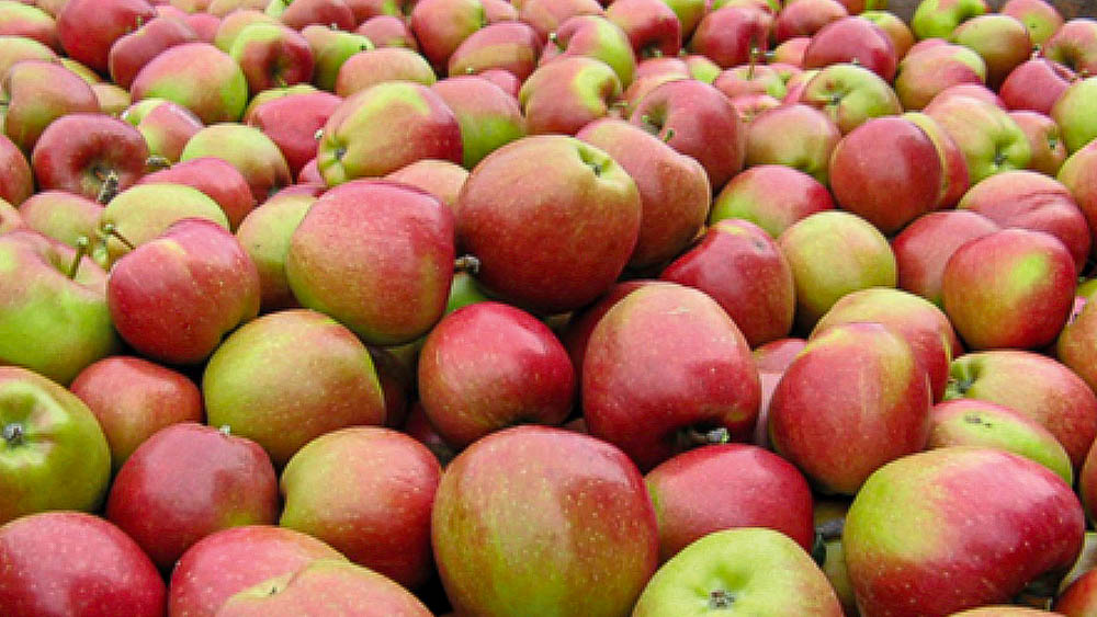 Braeburn-Apples